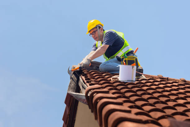 Best Roof Moss and Algae Removal  in Westhaven Moonstone, CA